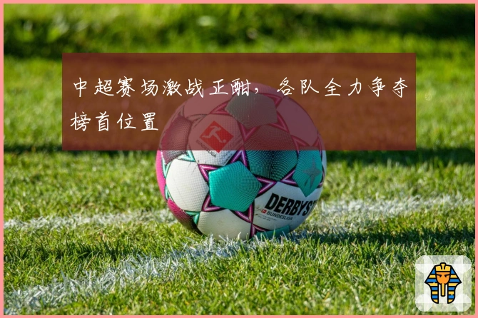 中超赛场激战正酣，各队全力争夺榜首位置