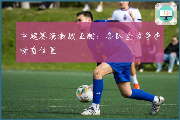 中超赛场激战正酣，各队全力争夺榜首位置